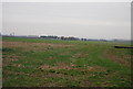 Prairie landscape