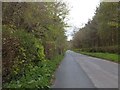 Forestry on Bury Moors