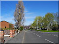 Blackberry Lane, Brinnington