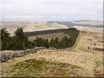 NN9703 : North-east slope of Innerdownie by Rob Burke
