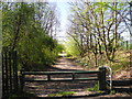 Trans Pennine Trail, Hollow End/Brinnington (2)