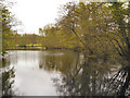 The Millpond, Nether Alderley Mill