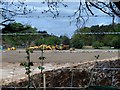 Landscaping at former golf course