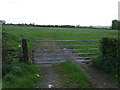 Field entrance off Marsh Common Road