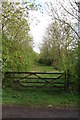 Authorpe: trackbed of the East Lincolnshire Line