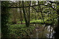 Wetland at Belleau Bridge