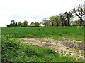 Fields south of Hall Road, Reedham