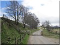 Cattle grid, Clachaig