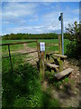 Footpath through field from Green Common Lane