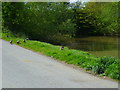 Ducks and pond by Castleman