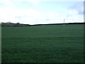 Farmland, Chicacott Cross