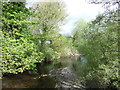 River Taw, Newland Bridge