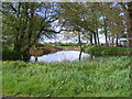 Pond off Ringsfield Road