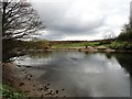 The River Wear at Chartershaugh