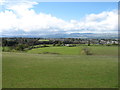 Looking across to Auchterarder from the Eind road