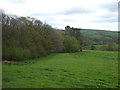 Farmland and woodland