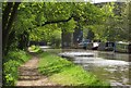 River Wey Navigation