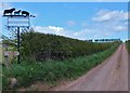 Peelham Farm and the footpath to Mordington