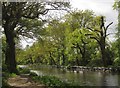 Basingstoke Canal