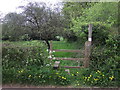 Footpath heading north off Uplowman Road