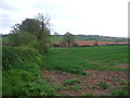ST0215 : Farmland, Spingfield by JThomas