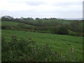 Farmland east of Whitnage