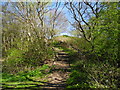 Path leading to Brinnington Park