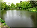 Hiltingbury Lakes