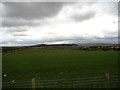 View across the Country Park from Chester Road, Penshaw