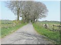 Lane northeast of Henbury Close