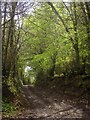 Track, Coleford Bottom