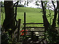 Footpath off the A386