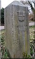 TL3705 : Stone by the Lea Navigation by N Chadwick