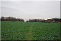 Footpath crossing field