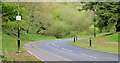 Road, Belfast Castle