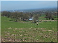 Fron Farm from the bridleway