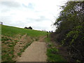 The Cotswold Way at Primrose Hill