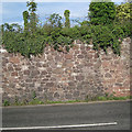 Sandstone boundary wall, Dawlish Road, Teignmouth