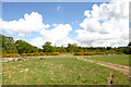 Heathland east of Horsham