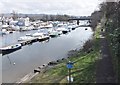 NS3981 : The River Leven at Balloch by Barbara Carr