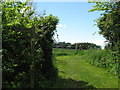 Footpath by Hunston church