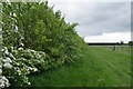 Footpath to Oldbury Farm