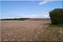 SU5554 : Fields north of Sheeplane Copse by Mr Ignavy