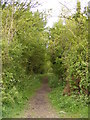 TM3688 : The Angles Way footpath to Rectory Lane & New Road by Geographer