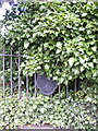 Memorial Railings, Whitham Road, Broomhill, Sheffield