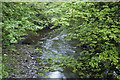 The River Darwen from Samlesbury Bridge