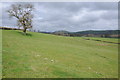 Farmland in the Cothi valley