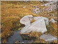 G9890 : Granite boulder, Croughbane by Richard Webb