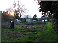 Wye Community Allotments