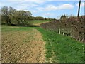 Saxon Shore Way near Gill Farm